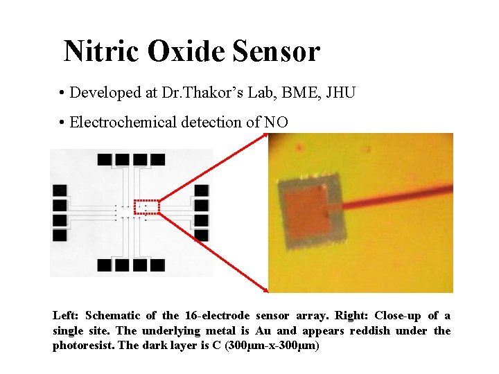 Nitric Oxide Sensor • Developed at Dr. Thakor’s Lab, BME, JHU • Electrochemical detection