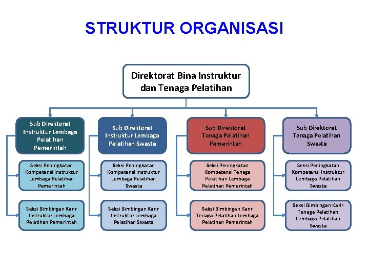 STRUKTUR ORGANISASI Direktorat Bina Instruktur dan Tenaga Pelatihan Sub Direktorat Instruktur Lembaga Pelatihan Pemerintah