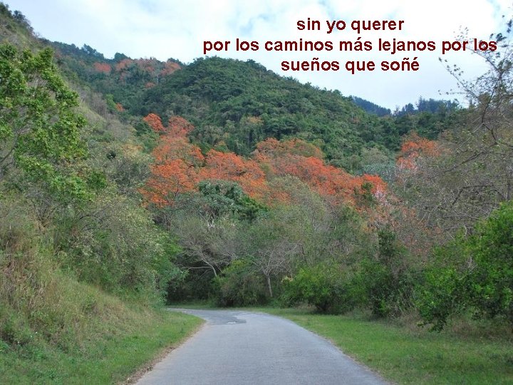 sin yo querer por los caminos más lejanos por los sueños que soñé 