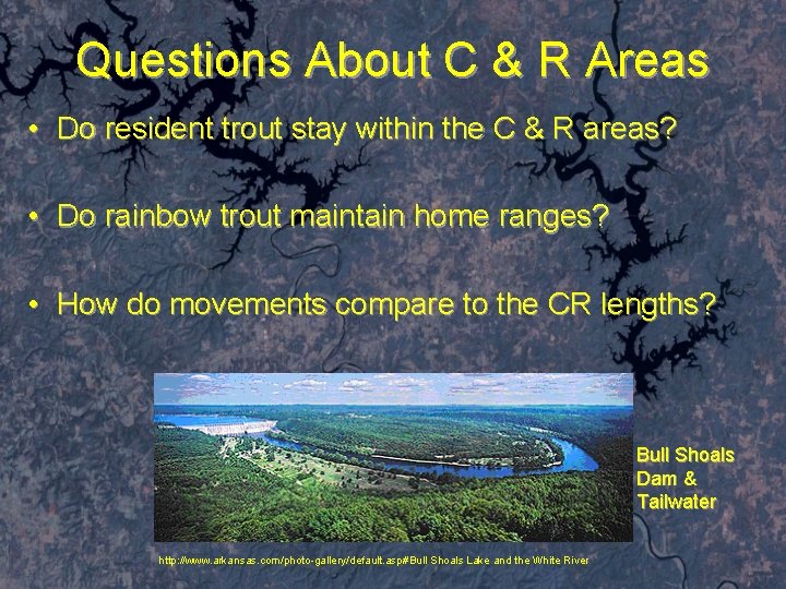 Questions About C & R Areas • Do resident trout stay within the C