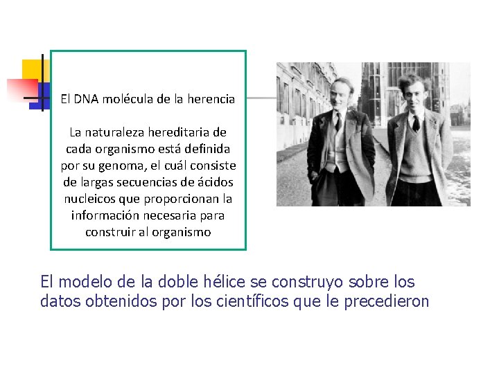 El DNA molécula de la herencia La naturaleza hereditaria de cada organismo está definida