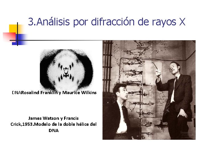 3. Análisis por difracción de rayos X DNARosalind Franklin y Maurice Wilkins James Watson