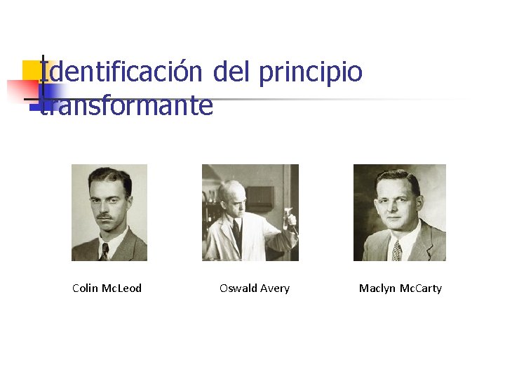 Identificación del principio transformante Colin Mc. Leod Oswald Avery Maclyn Mc. Carty 