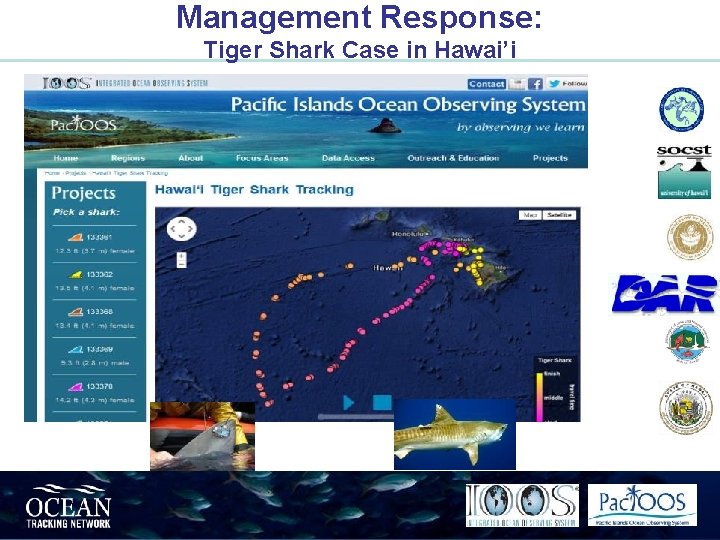 Management Response: Tiger Shark Case in Hawai’i 
