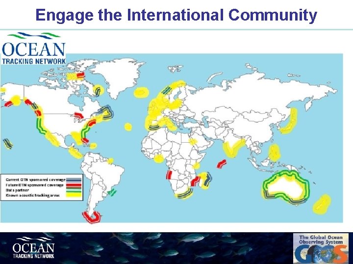 Engage the International Community 