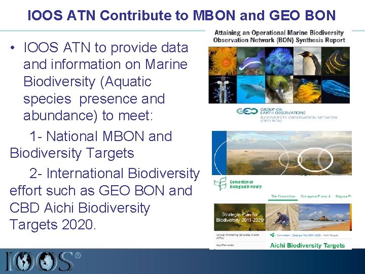 IOOS ATN Contribute to MBON and GEO BON • IOOS ATN to provide data