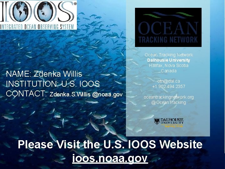 NAME: Zdenka Willis INSTITUTION: U. S. IOOS CONTACT: Zdenka. S. Willis @noaa. gov Ocean