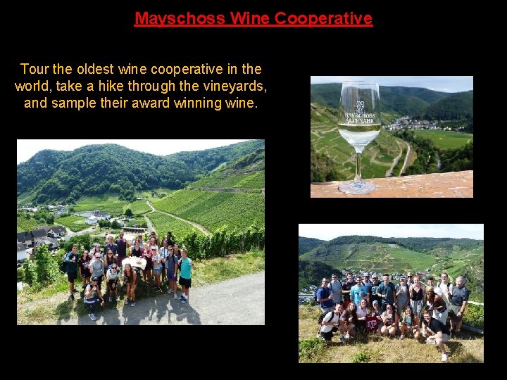 Mayschoss Wine Cooperative Tour the oldest wine cooperative in the world, take a hike