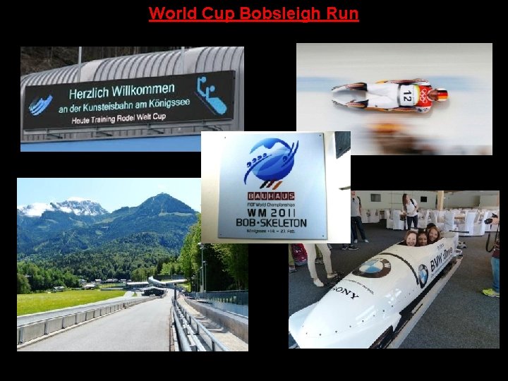 World Cup Bobsleigh Run 