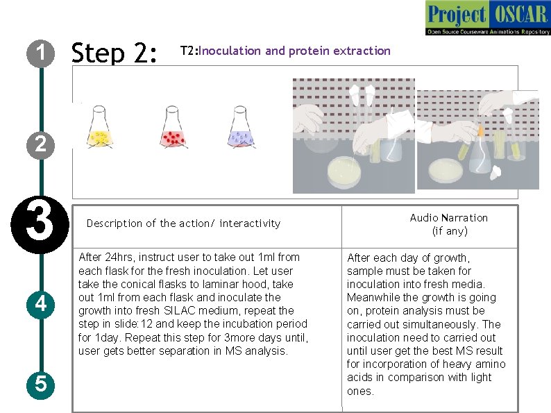 1 Step 2: T 2: Inoculation and protein extraction 2 3 4 5 Description