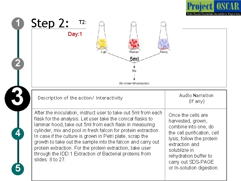1 Step 2: T 2: Inoculation and protein extraction Day: 1 5 ml 2
