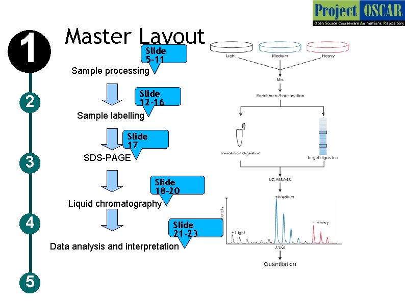 1 2 3 Master Layout Slide 5 -11 Sample processing Slide 12 -16 Sample