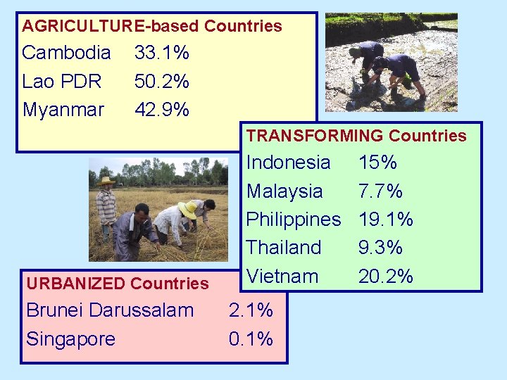 AGRICULTURE-based Countries Cambodia Lao PDR Myanmar 33. 1% 50. 2% 42. 9% TRANSFORMING Countries