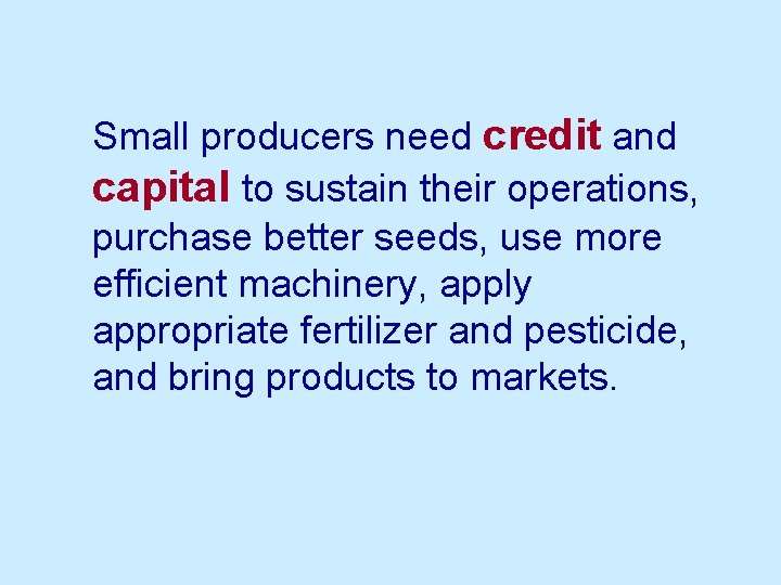 Small producers need credit and capital to sustain their operations, purchase better seeds, use