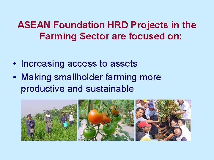 ASEAN Foundation HRD Projects in the Farming Sector are focused on: • Increasing access