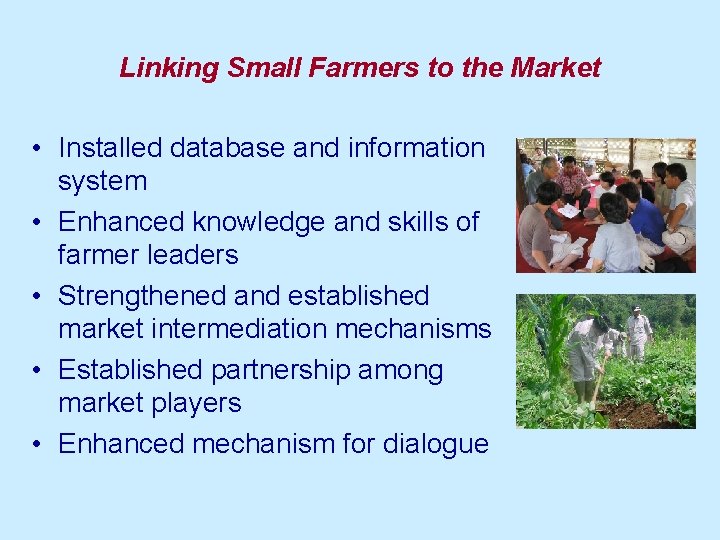 Linking Small Farmers to the Market • Installed database and information system • Enhanced