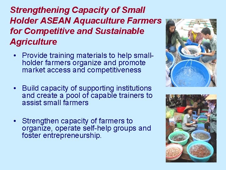 Strengthening Capacity of Small Holder ASEAN Aquaculture Farmers for Competitive and Sustainable Agriculture •