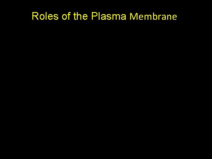 Roles of the Plasma Membrane 