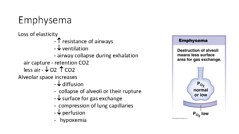 Emphysema Loss of elasticity - resistance of airways - ventilation - airway collapse during