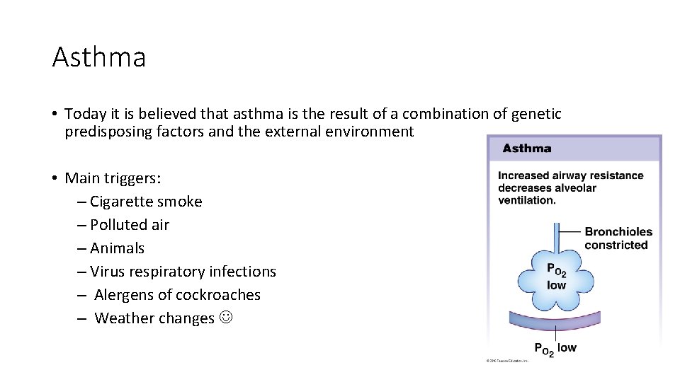 Asthma • Today it is believed that asthma is the result of a combination