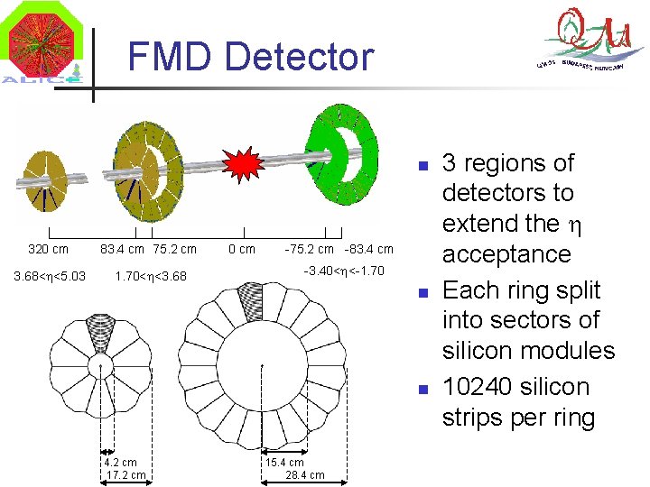 FMD Detector n 320 cm 83. 4 cm 75. 2 cm 3. 68< <5.