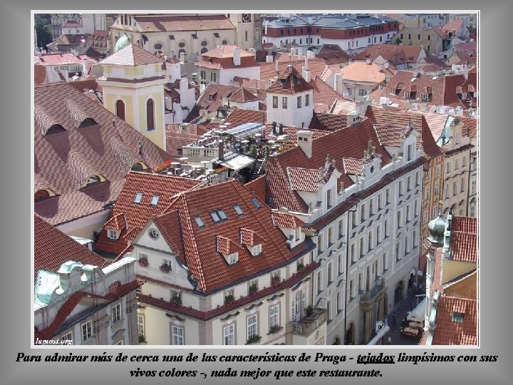 Para admirar más de cerca una de las características de Praga - tejados limpísimos