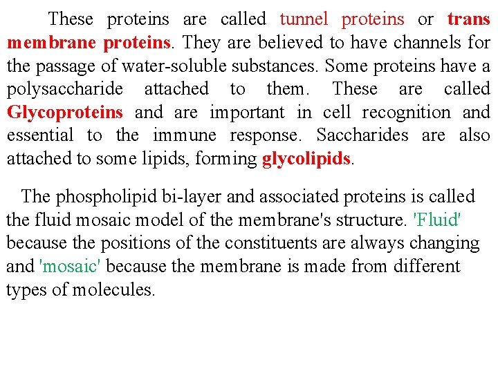 These proteins are called tunnel proteins or trans membrane proteins. They are believed to