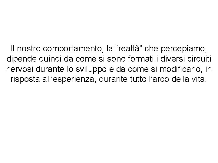 Il nostro comportamento, la “realtà” che percepiamo, dipende quindi da come si sono formati