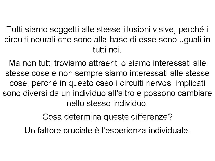 Tutti siamo soggetti alle stesse illusioni visive, perché i circuiti neurali che sono alla