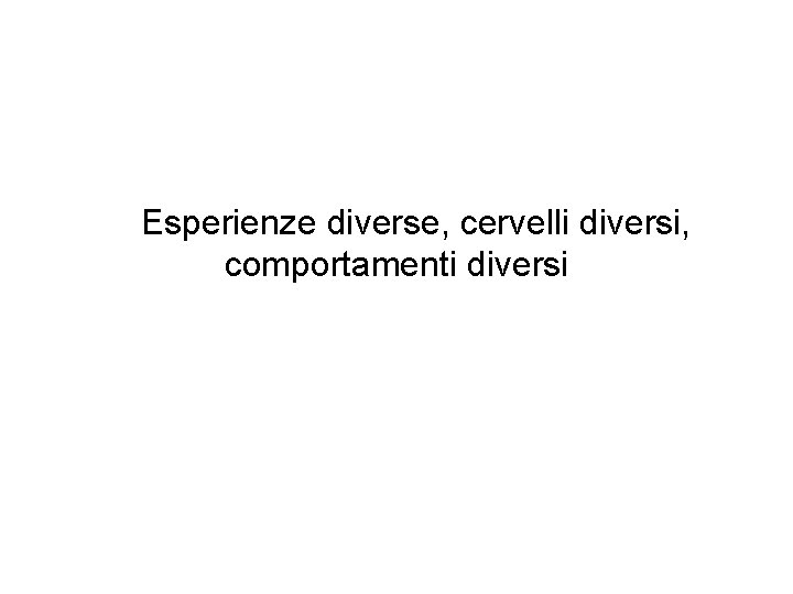 Esperienze diverse, cervelli diversi, comportamenti diversi 