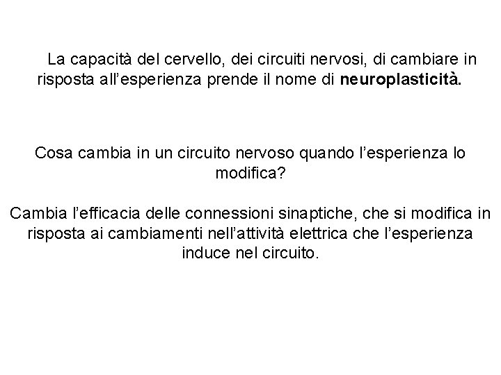 La capacità del cervello, dei circuiti nervosi, di cambiare in risposta all’esperienza prende il