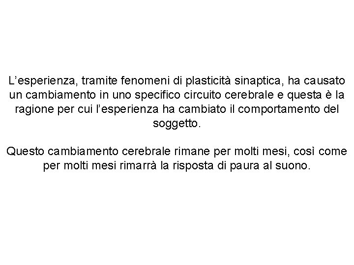 L’esperienza, tramite fenomeni di plasticità sinaptica, ha causato un cambiamento in uno specifico circuito