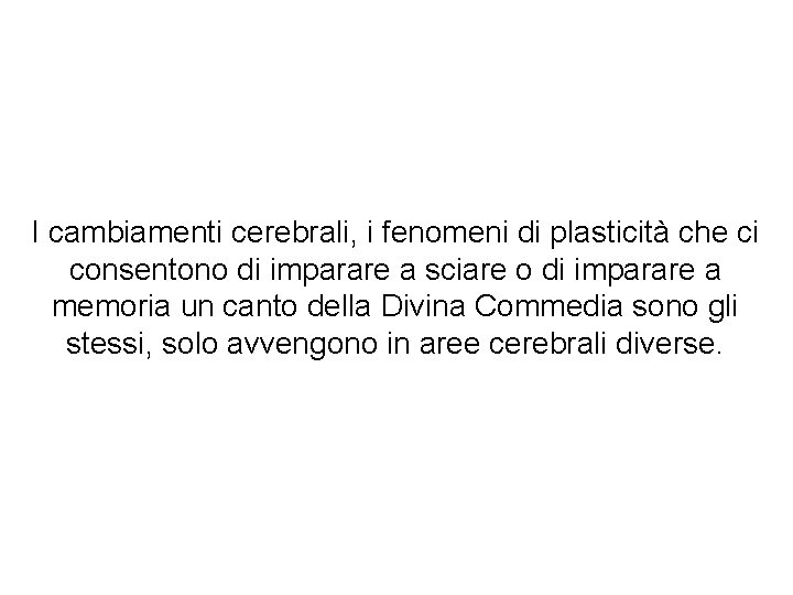 I cambiamenti cerebrali, i fenomeni di plasticità che ci consentono di imparare a sciare