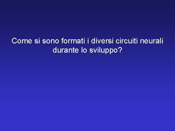 Come si sono formati i diversi circuiti neurali durante lo sviluppo? 