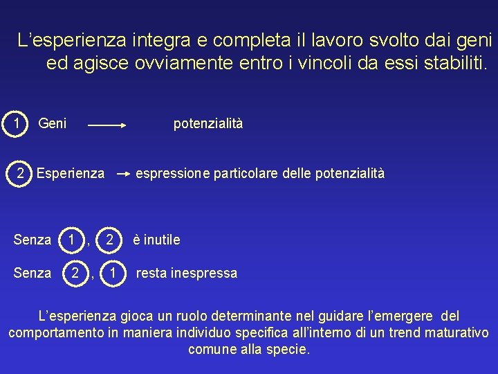 L’esperienza integra e completa il lavoro svolto dai geni ed agisce ovviamente entro i