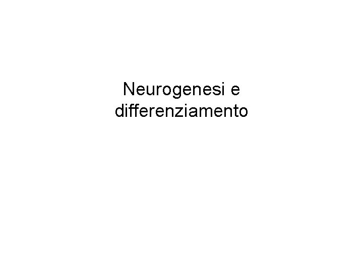 Neurogenesi e differenziamento 