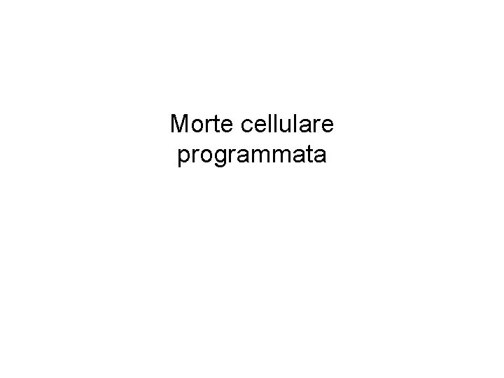 Morte cellulare programmata 