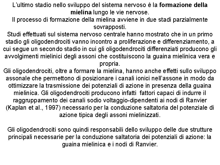 L’ultimo stadio nello sviluppo del sistema nervoso è la formazione della mielina lungo le