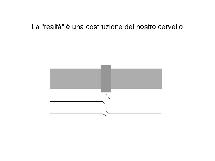 La “realtà” è una costruzione del nostro cervello 