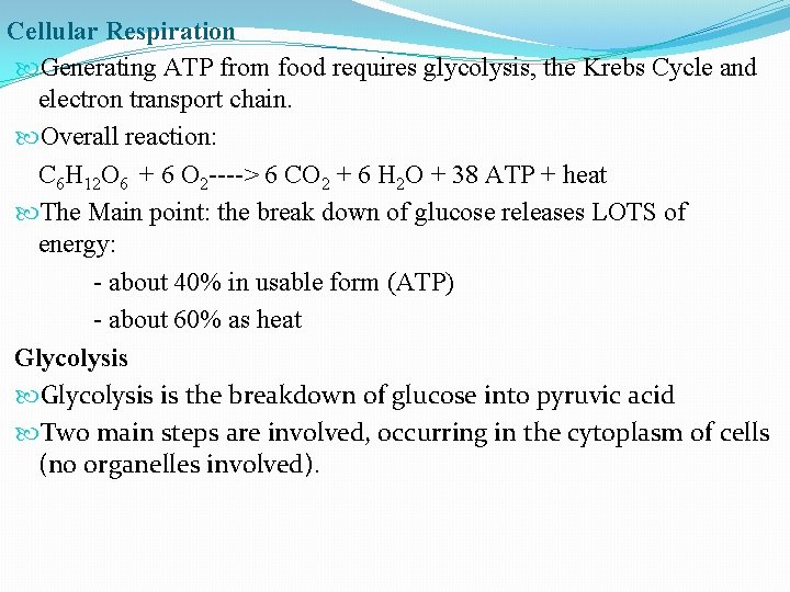 Cellular Respiration Generating ATP from food requires glycolysis, the Krebs Cycle and electron transport