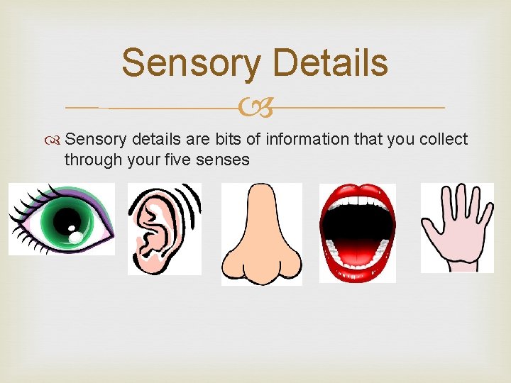 Sensory Details Sensory details are bits of information that you collect through your five