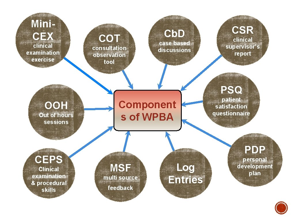 Mini. CEX clinical examination exercise COT consultation observation tool Cb. D case based discussions