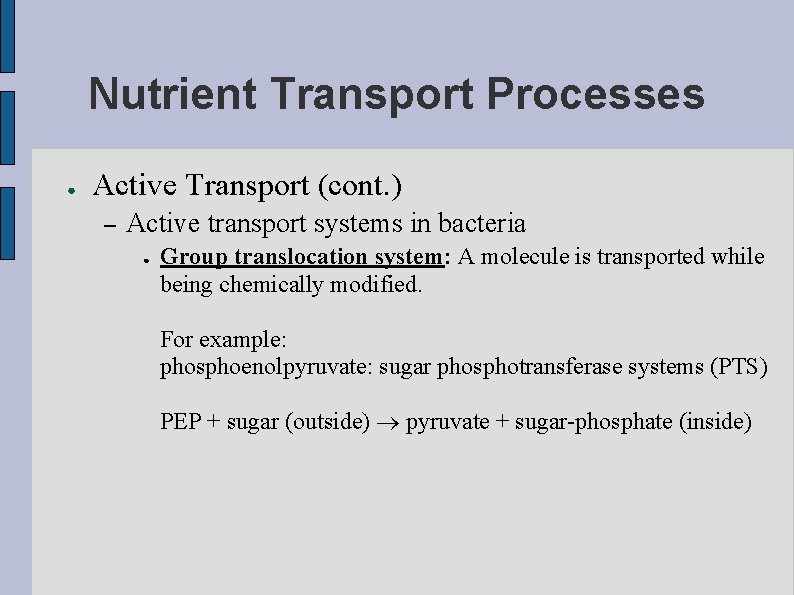 Nutrient Transport Processes ● Active Transport (cont. ) – Active transport systems in bacteria