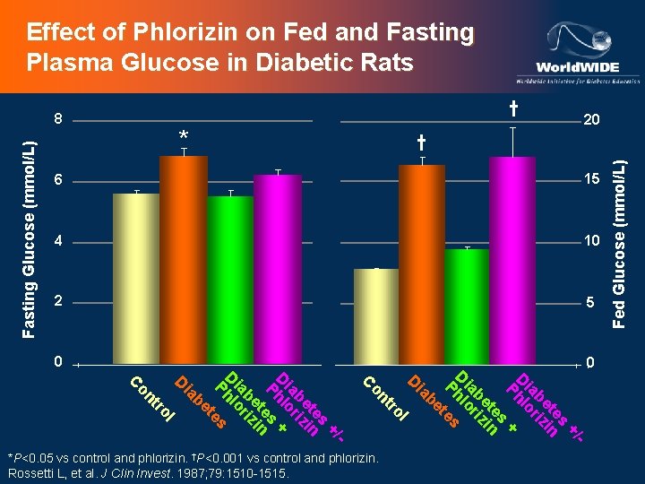 Effect of Phlorizin on Fed and Fasting Plasma Glucose in Diabetic Rats † *