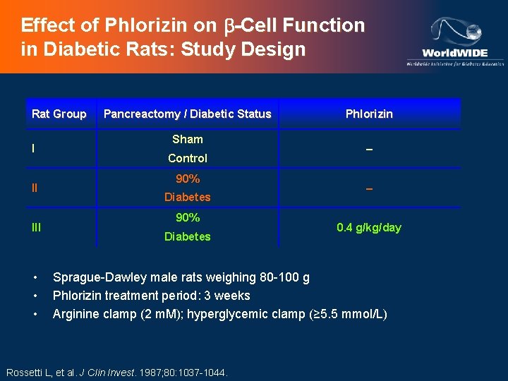 Effect of Phlorizin on -Cell Function in Diabetic Rats: Study Design Rat Group I