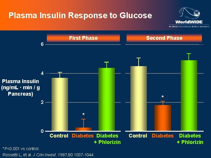 Plasma Insulin Response to Glucose First Phase Second Phase 6 4 Plasma Insulin (ng/m.