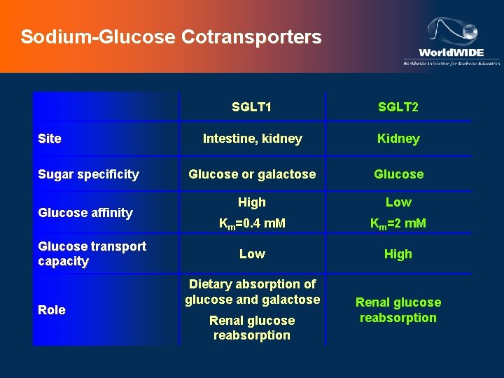 Sodium-Glucose Cotransporters Site Sugar specificity Glucose affinity Glucose transport capacity Role SGLT 1 SGLT