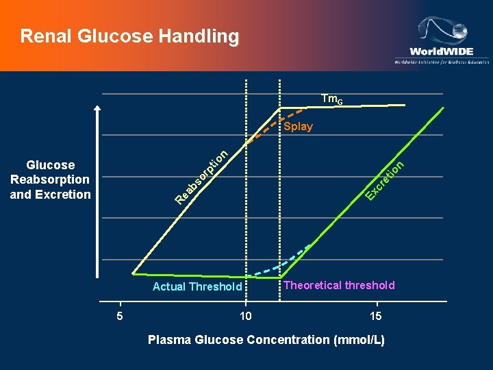Renal Glucose Handling Tm. G Re Ex ab cr et so rp Glucose Reabsorption