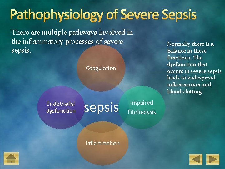 Pathophysiology of Severe Sepsis There are multiple pathways involved in the inflammatory processes of