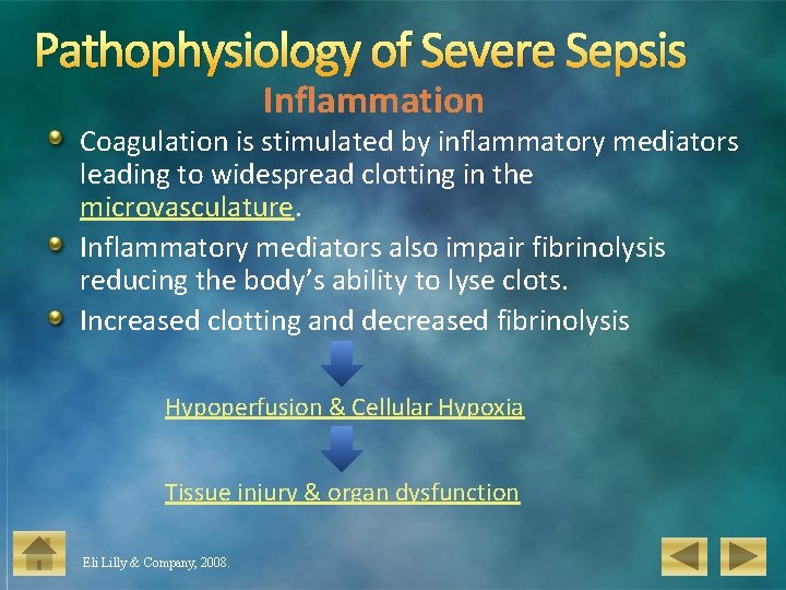 Pathophysiology of Severe Sepsis Inflammation Coagulation is stimulated by inflammatory mediators leading to widespread